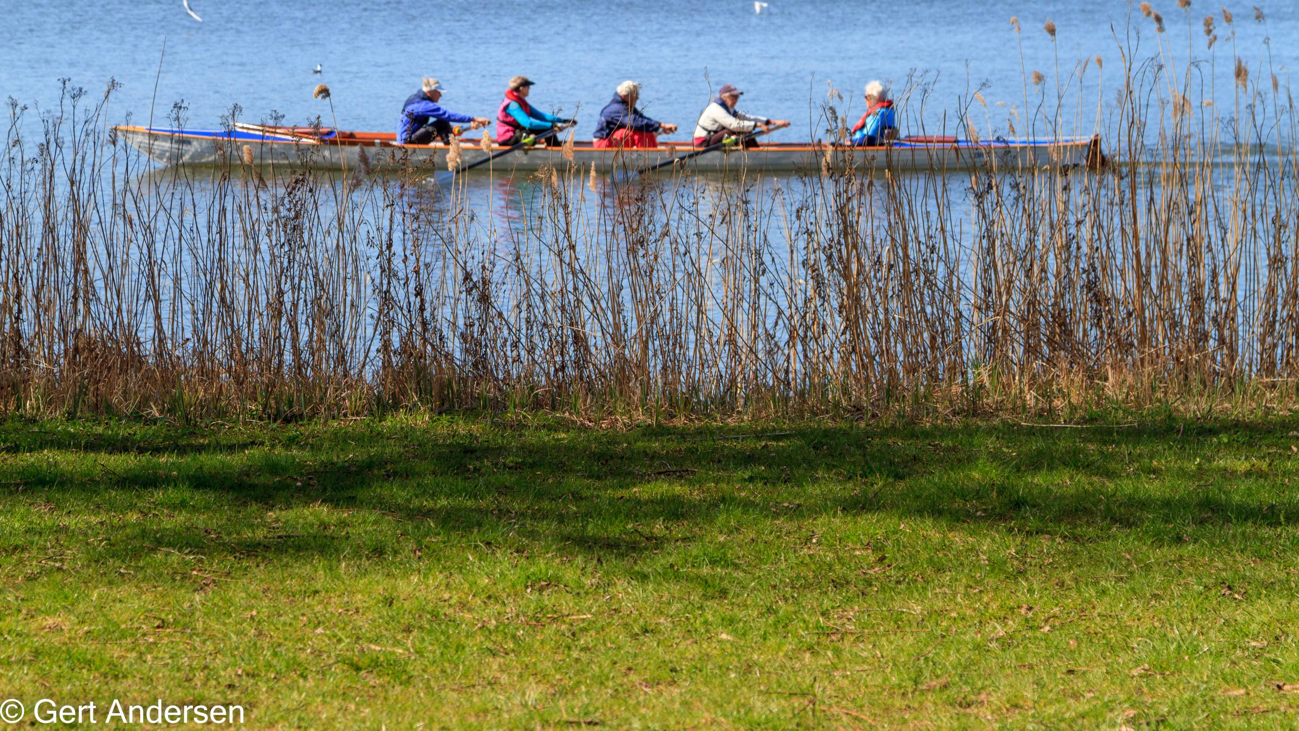 Lyngby Sø (8 of 37) compressed